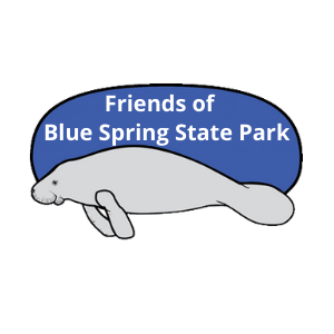 2023 Fireflies experience at Blue Spring State Park in Orange City