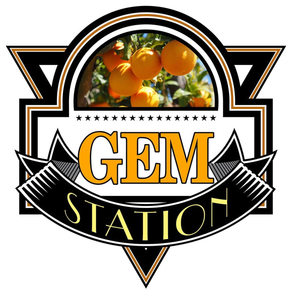 Gem Community Group, Inc.